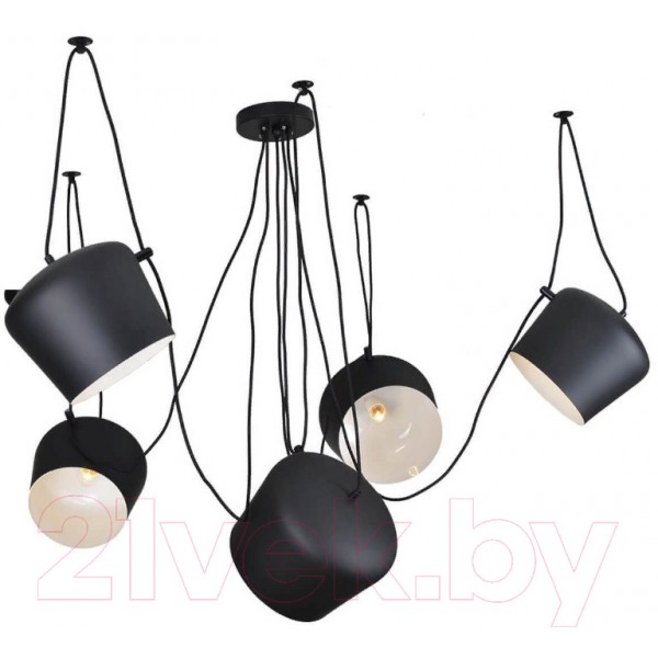 Люстра Lussole Loft Shirley GRLSP-9919