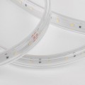 Светодиодная влагозащищенная лента Elektrostandard 8W/m 60LED/m 2835SMD холодный белый 50M a053638