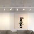 Трековый однофазный двухжильный светильник Novotech Selene Port 359918