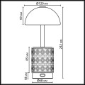 Настольная лампа беспроводная Odeon Light Lulu L-Vision 5452/3TL