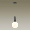 Подвесной светильник Odeon Light Pendant Okia 4668/1