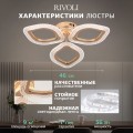 Потолочная светодиодная люстра Rivoli Erminia 6177-703 Б0068410