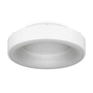Потолочный светильник Freya FR6118CL-L45W