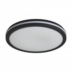 Потолочный светильник Freya FR6160CL-L40B