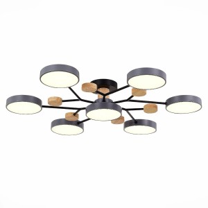 Потолочная светодиодная люстра Evoluce FAEMA SLE6006-702-07