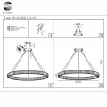 Подвесная люстра ST Luce SL1622.113.01