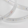 Светодиодная влагозащищенная лента Elektrostandard 8W/m 60LED/m 2835SMD холодный белый 50M a053638