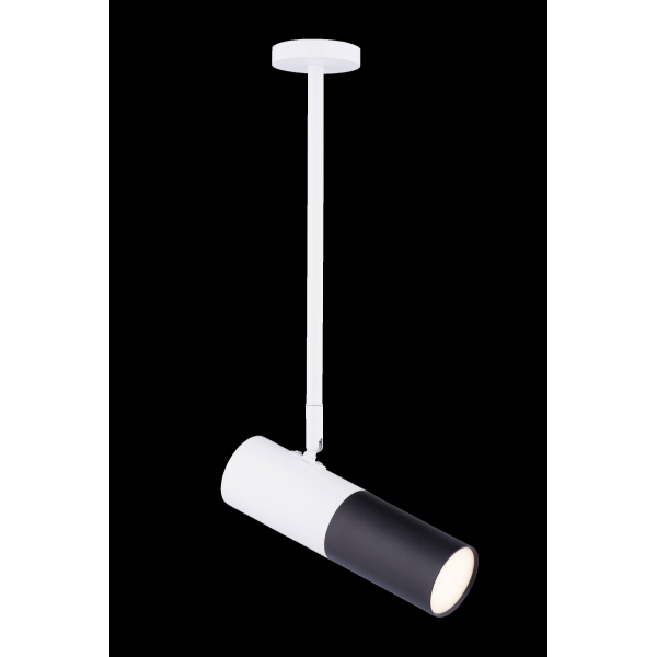 542RT SWT+SBK (1/20) Светильник