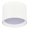 Потолочный светильник ST Luce ST163.502.01.02