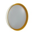 Настенно-потолочный светильник Sonex Color Tuna Yellow 7711/ELN