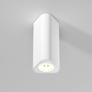 Потолочный светильник Elektrostandard 25110/LED a067063 Потолочный светильник Elektrostandard 25110/LED a067063