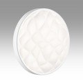 Настенно-потолочный светильник Sonex PALE 7672/ELN