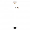 Торшер Arte Lamp Duetto A9569PN-2BK