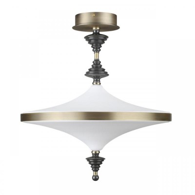 Подвесной светодиодный светильник Odeon Light Exclusive L-Vision Ula 5404/43CL