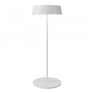 Уличный переносной аккумуляторный светильник Outdoor O540TL-L2WCCT