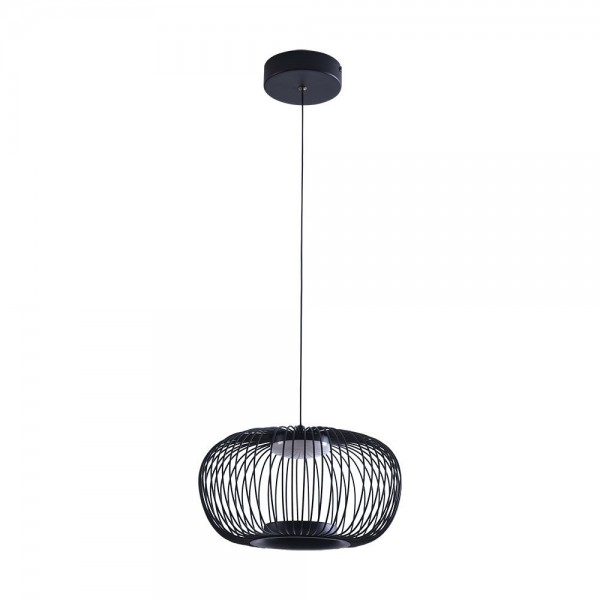 Подвесной светодиодный светильник Arte Lamp Flare A3527SP-12BK