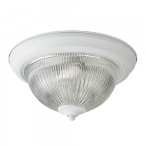 Потолочный светильник Arte Lamp Aqua A9370PL-2WH