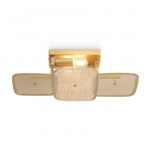 Потолочный светильник Freya FR5572CL-02G