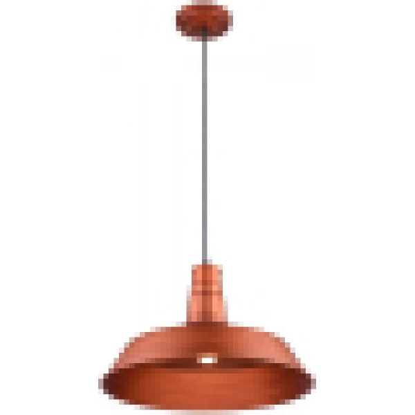 Потолочный светильник Lussole Loft GRLSP-9698