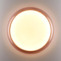 Настенно-потолочный светильник Sonex PORTMAN 7778/ELN