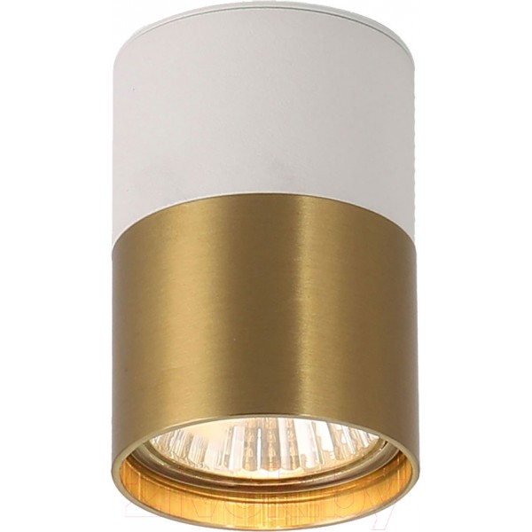 Точечный светильник Lussole Gilbert LSP-8830