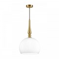Подвесной светильник Odeon Light Pendant Runga 4765/1