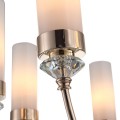 Подвесная люстра ST Luce Elegra SL1402.253.08