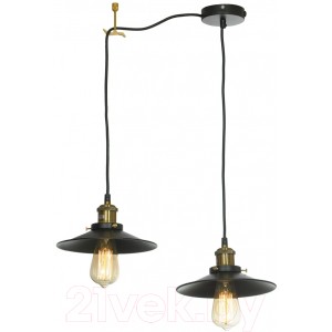 Потолочный светильник Lussole New York LSP-9601-2