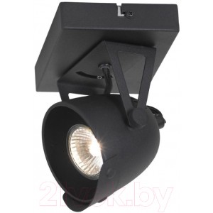 Спот Lussole Loft LSP-9505