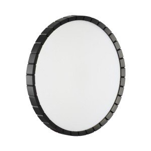 Настенно-потолочный светодиодный светильник Sonex Pale Atabi Black 7649/DLN