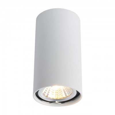 Потолочный светильник Arte Lamp A1516PL-1WH Потолочный светильник Arte Lamp A1516PL-1WH