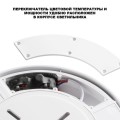Уличный потолочный светильник Novotech Opal Street 359727