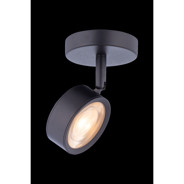 20115 SBK (1/20) Светильник (RL)