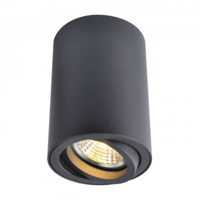 Потолочный светильник Arte Lamp A1560PL-1BK Потолочный светильник Arte Lamp A1560PL-1BK