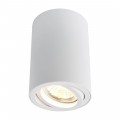 Потолочный светильник Arte Lamp A1560PL-1WH Потолочный светильник Arte Lamp A1560PL-1WH
