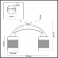 Потолочная люстра Lumion Comfi Filla 3030/2C