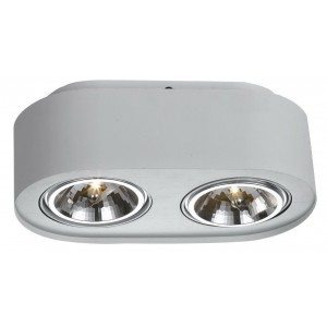 Потолочный светильник Arte Lamp Cliff A5643PL-2WH