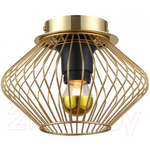 Потолочный светильник Lussole Loft Brooks GRLSP-8248