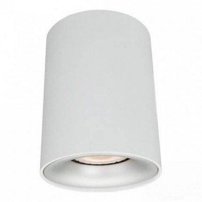 Потолочный светильник Arte Lamp Torre A1532PL-1WH