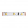 Светодиодная лента Maytoni Technical 4,8W/m 60LED/m 2835SMD теплый белый 5M 10102