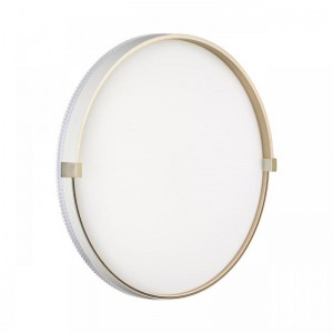 7646/DLN PALE SN 189 Светильник пластик/белый/золотой LED 48Вт 3000/4000/6000К D390 IP43 CCT OLIDI WHITE