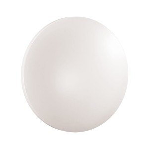 Настенно-потолочный светильник Sonex Pale Simple 3017/DLN