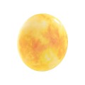 Настенно-потолочный светильник Sonex Pale Sun 7726/CLN
