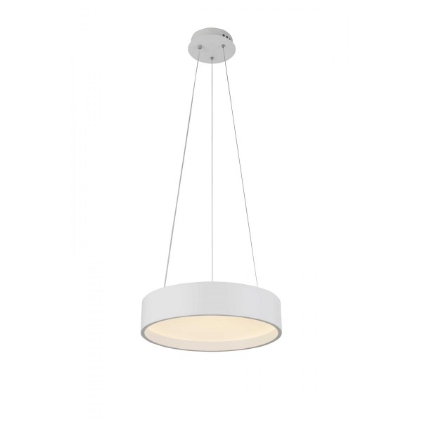2541/400P WHITE (1) Подвесной светильник (RL)