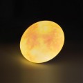 Настенно-потолочный светильник Sonex Pale Sun 7726/CLN