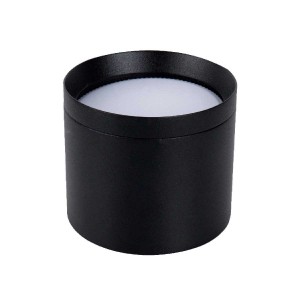 Накладной светильник Favourite 4707-1C