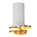 Потолочный светильник Elektrostandard DLN102 GU10 белый/золото a047748