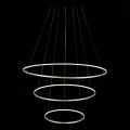 Подвесная светодиодная люстра ST Luce Erto SL904.203.03