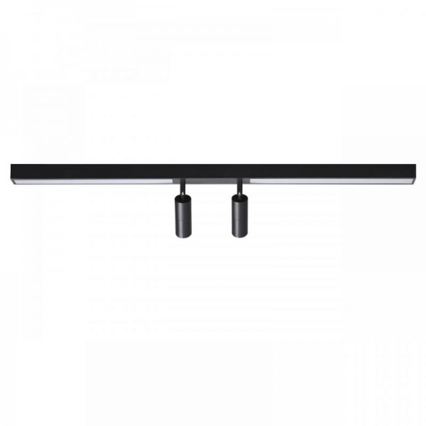 Потолочный светильник Lumion HAWK 5690/14CL