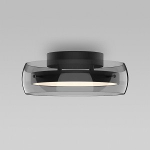 Потолочный светильник черный 201051 LED